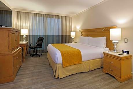 Deluxe Room City View, 1 King Bed