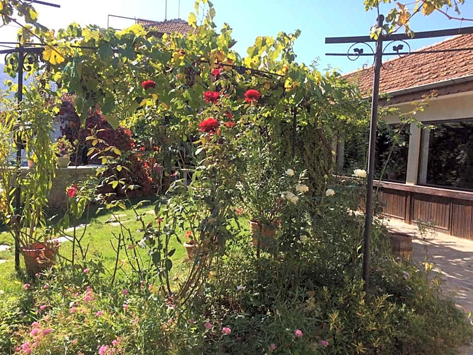 Family Hotel Belvedere