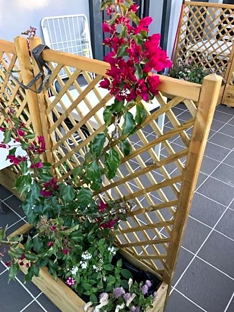 Water Lily Boutique B&B and Bungalow