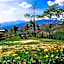 Mount Paradise Nature Stay