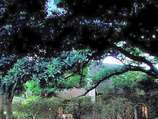 Simpson House Inn