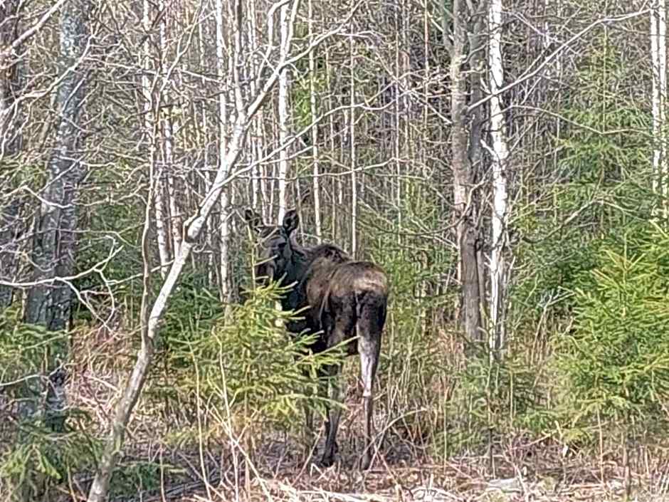 Nederhögen Vildmarkscenter