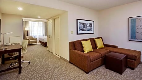 Junior Suite with King Bed and Sofa Bed 