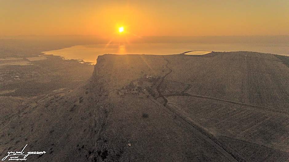 Selfie's Boutique Hotel