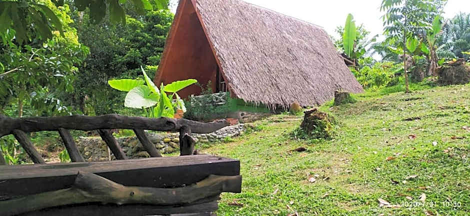 Green Forest Tangkahan