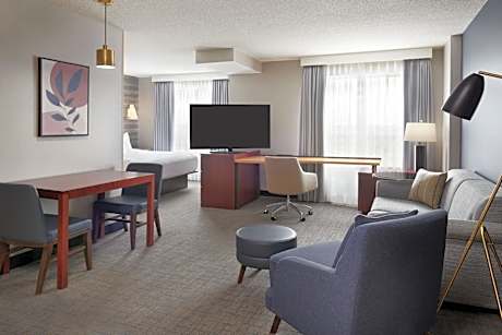 Studio, 1 King, Sofa bed, Mountain view
