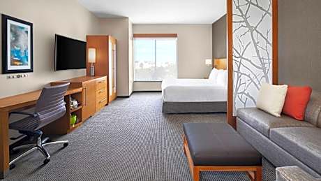 King Room with Sofa Bed and Roll-In Shower - Disability Access