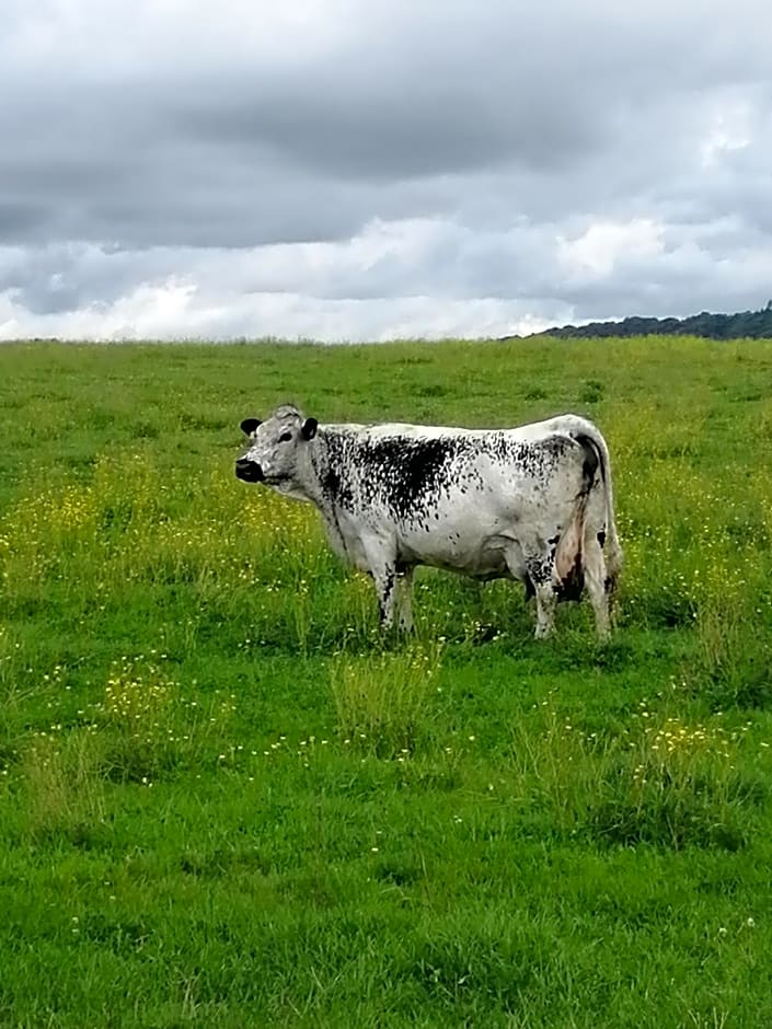 Relais de la Mothe LA SUITE