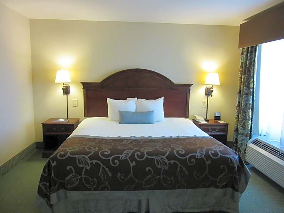 Wingate by Wyndham Charleston University Boulevard