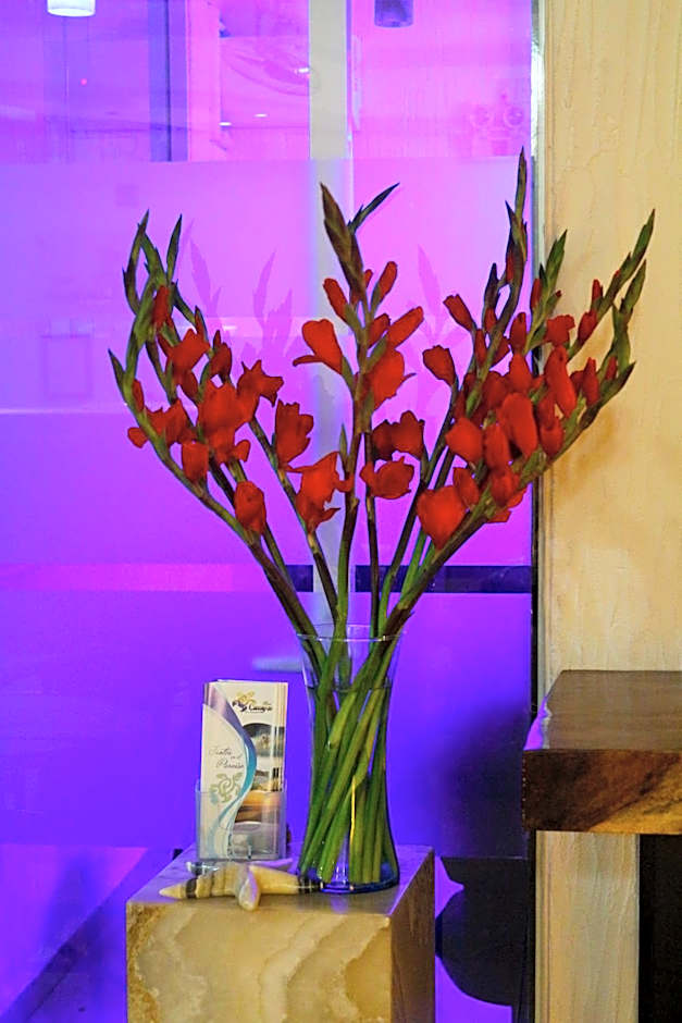 Hotel Careyes Puerto Escondido