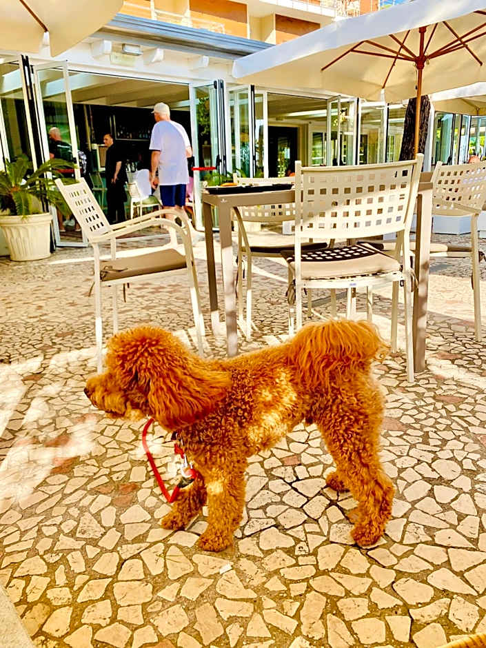 Hotel Franca