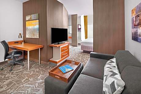 King Suite with Sofa Bed