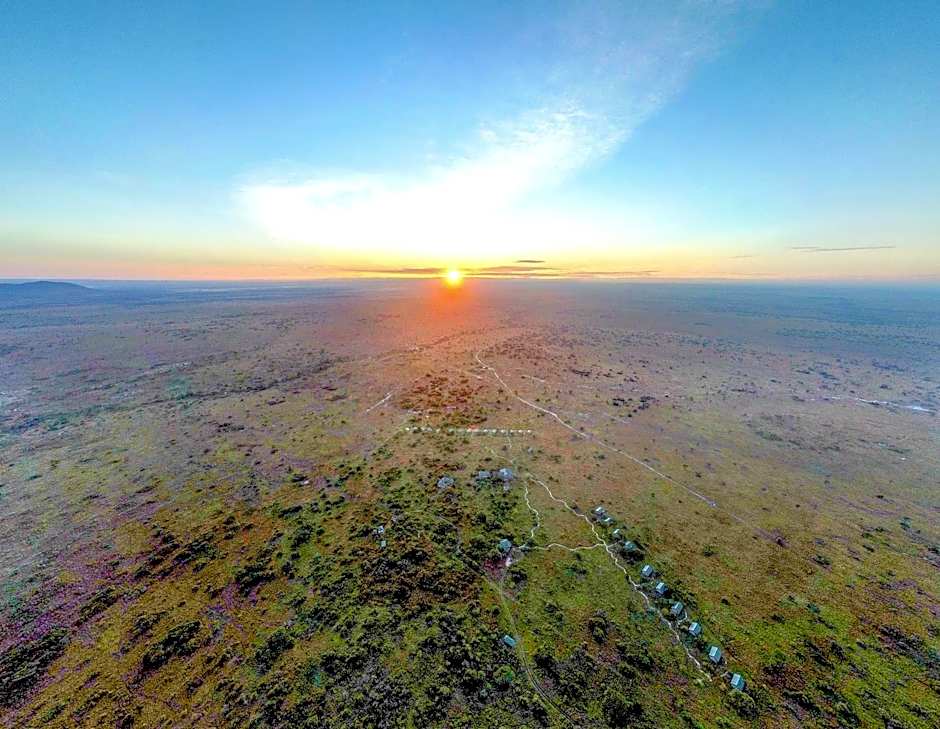 Africa Safari Serengeti Ikoma