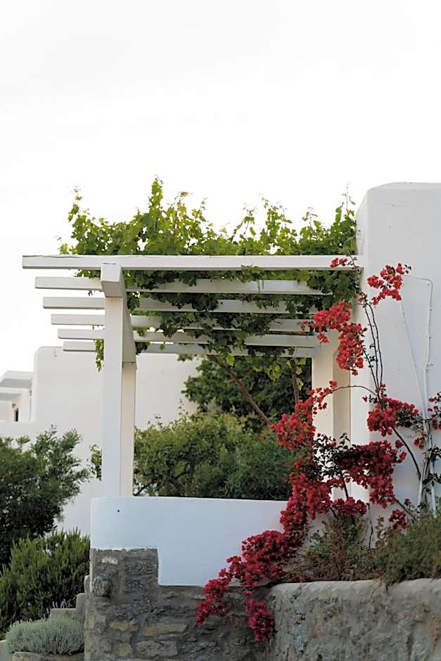 Rhenia Mykonos Hotel & Bungalows