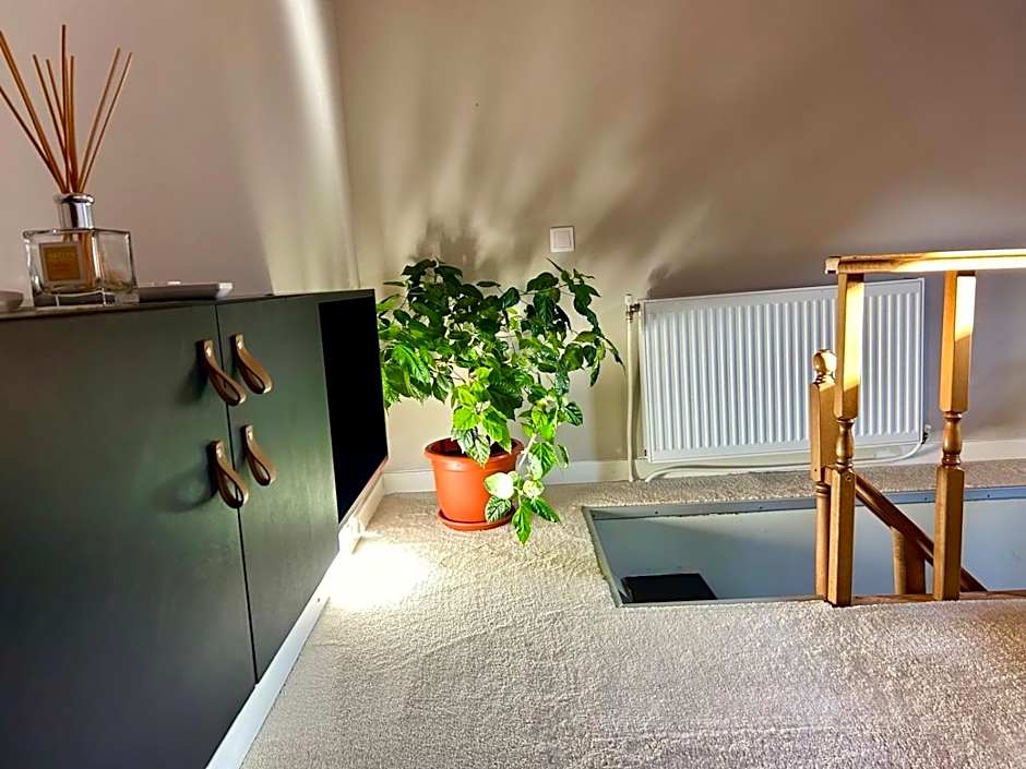 ALTiDude Ultra Central - Private Parking