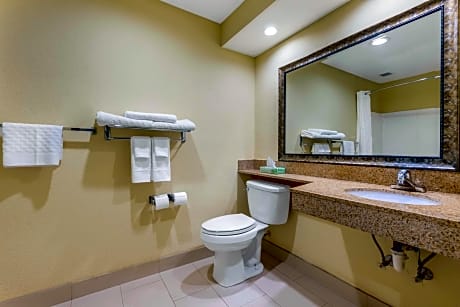 accessible - 1 king, mobility accessible, roll in shower, non-smoking, full breakfast