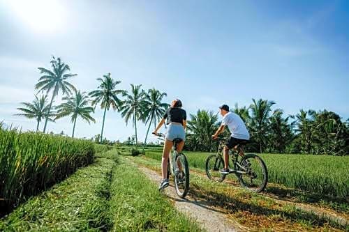 Dukuh Sebatu Villa Ubud