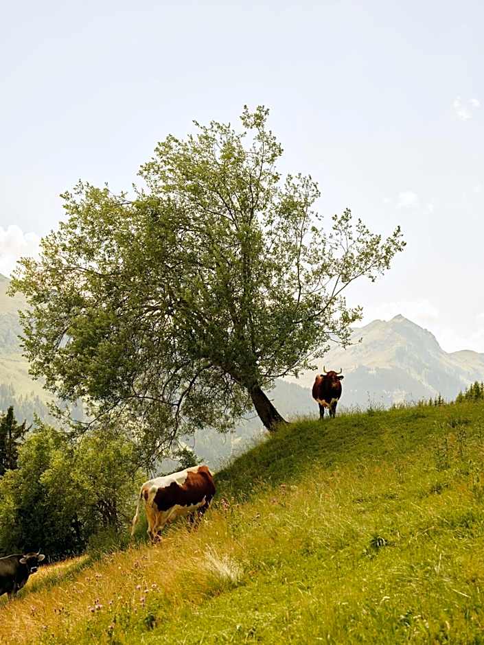 Wiesergut