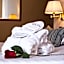 Hotel Nuvo