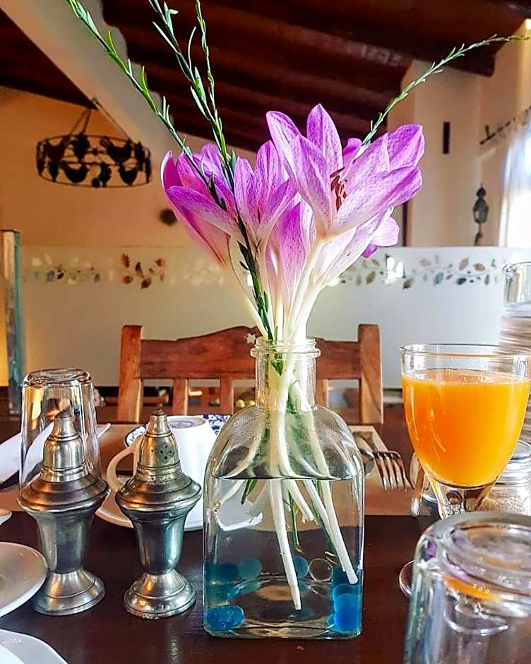 Helicon Muses Friendly Mountain B&B Guesthouse