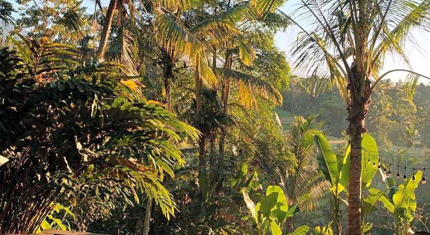 Saridevi Ecolodge