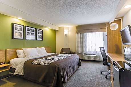 1 King Bed, Nonsmoking