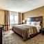 Comfort Inn Detroit Downtown