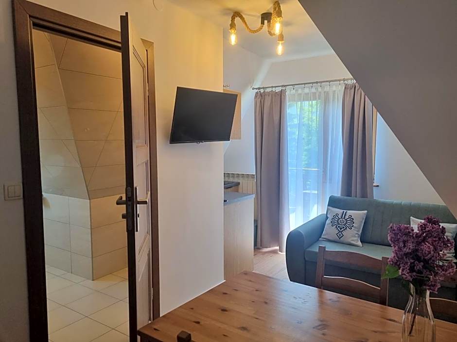 Willa Antałówka Apartamenty