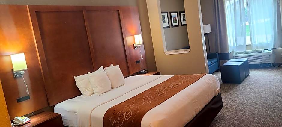 Comfort Suites New Braunfels - San Antonio Area