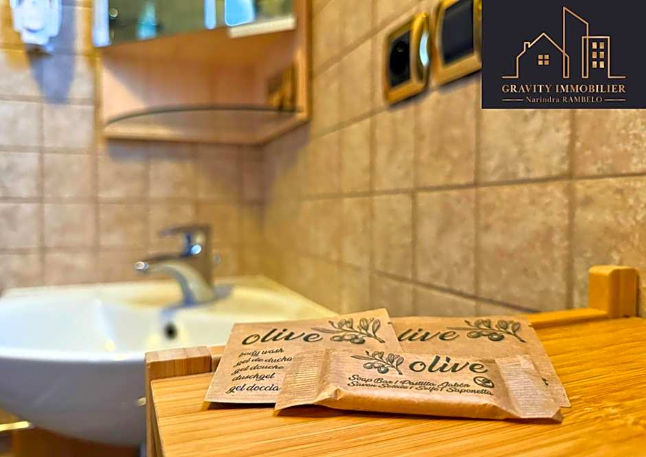 CHALET duplex Mont-Saxonnex "LE JARBAY "