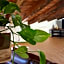 espai Abadia apartamento privado vistas