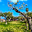 Villaggio La Pizzuta