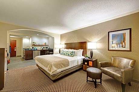 1 King Bed, Efficiency, Nonsmoking