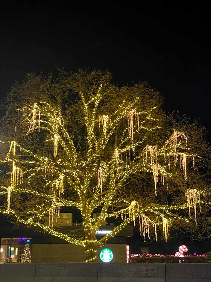 Strathaird Bed and Breakfast