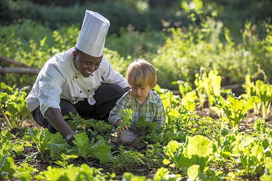 Elewana Arusha Coffee Lodge