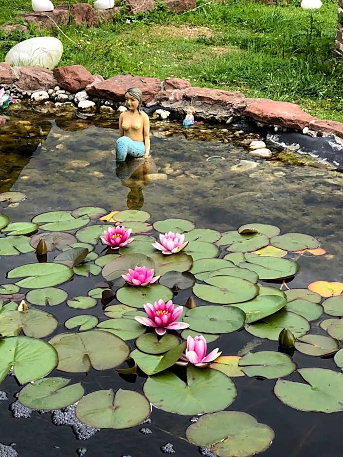 Haus Adams - das Wohlfühl Gästehaus