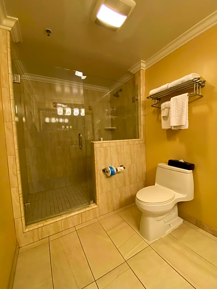 Best Western Plus Airport Plaza