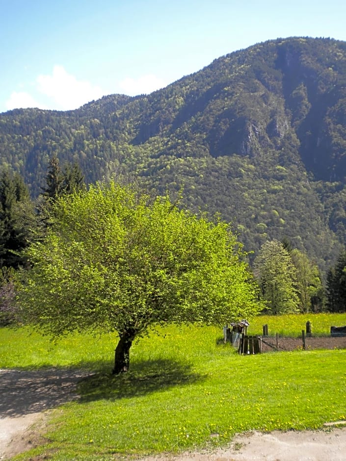 Bed and Breakfast Cappeler