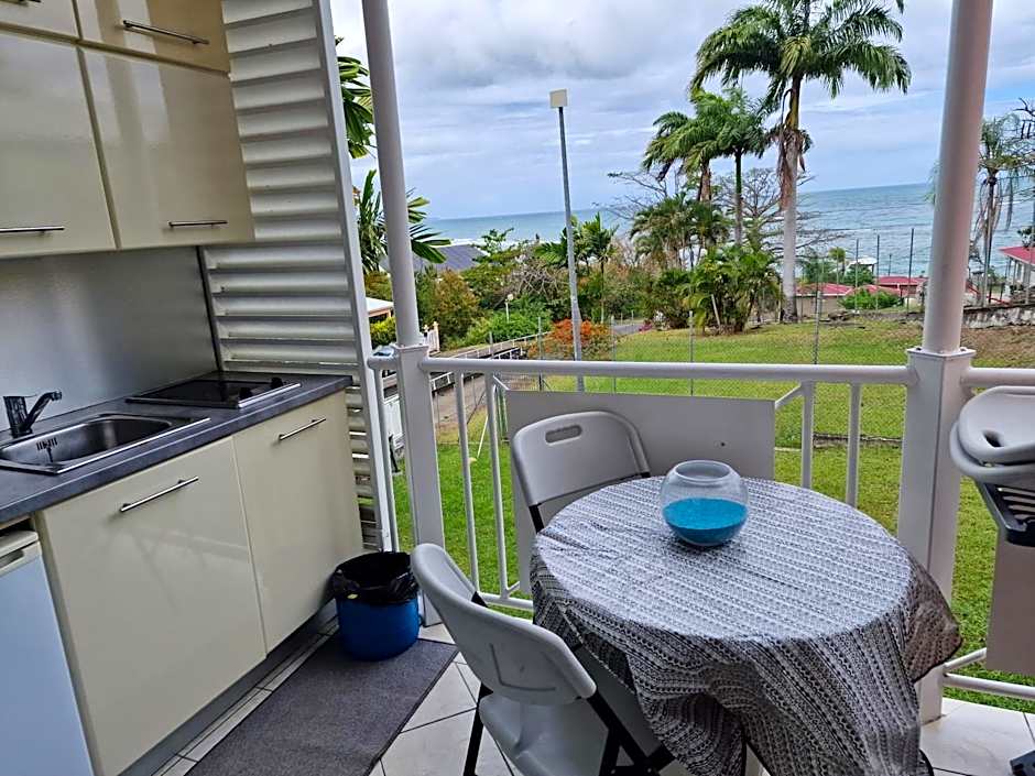 appartement spacieux vue sur mer