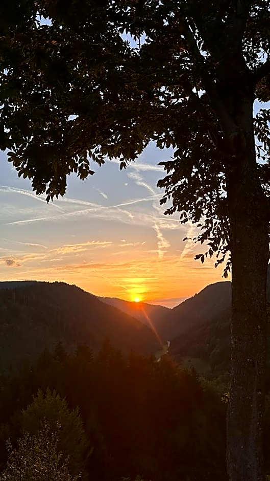 NATURION Hotel Hinterzarten