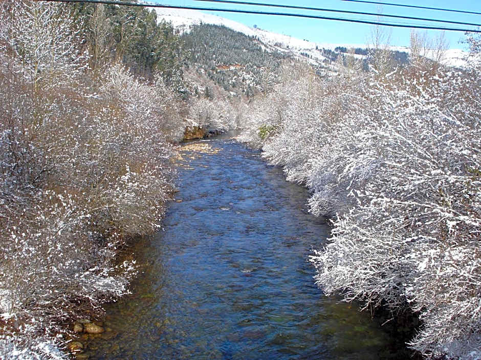 El Bosque de La Anjana