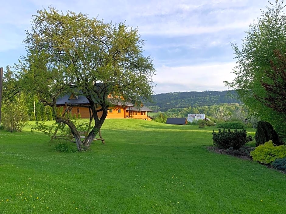 Bieszczadzkie Chatki - Willa Stasia