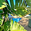 i-LOLLO Bed & Breakfast at the River Mouth