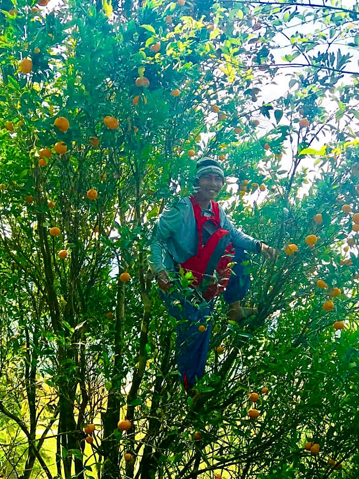 Banga-an BnB and Coffee House