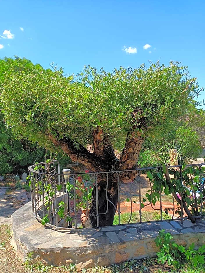 I Mari Di Gallura Suites and Rooms