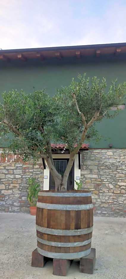 1929 Wine Food Relax Agriturismo