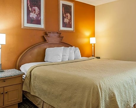 1 Queen Bed, Suite, Nonsmoking