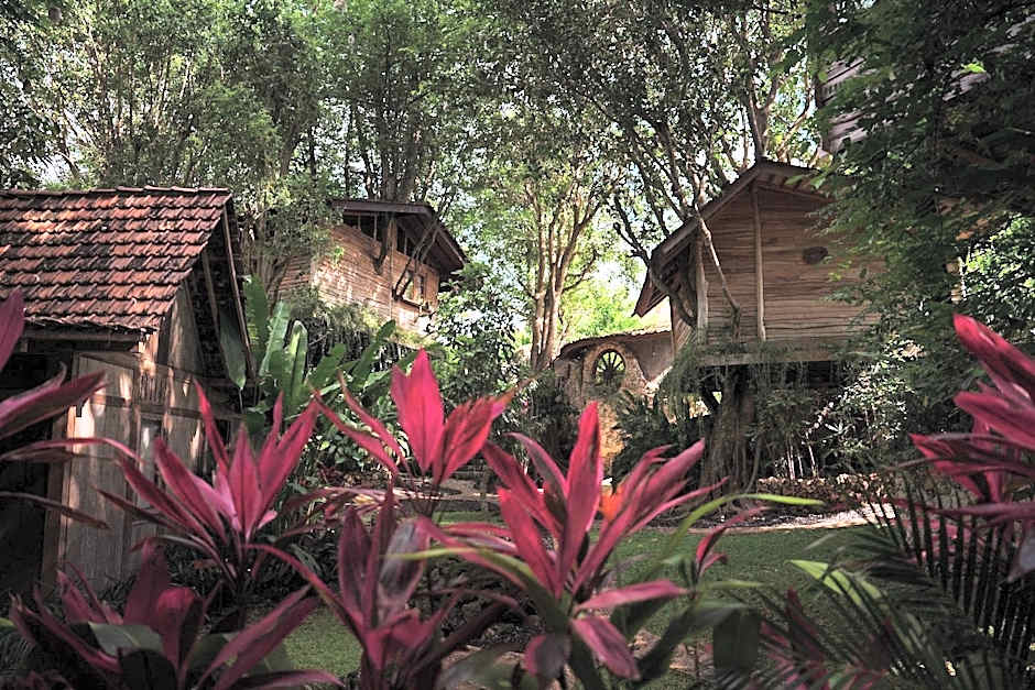 Roots Tree House
