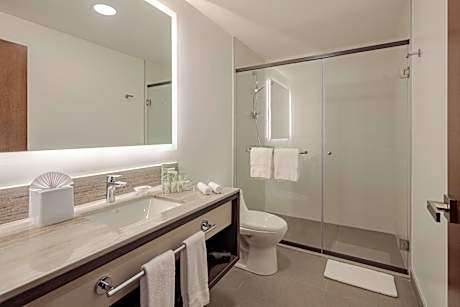 1 King Standard Lounge Access