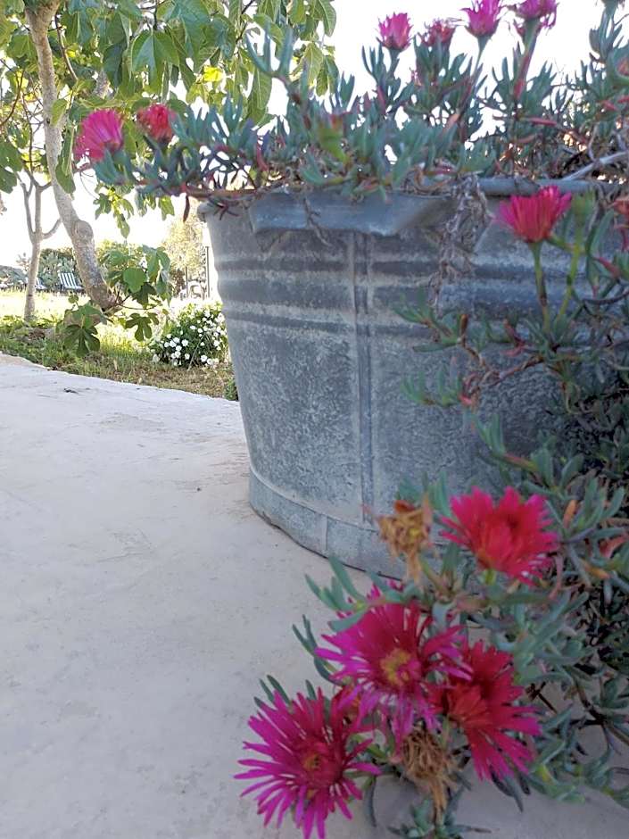 Lispusada Agriturismo Adults Only